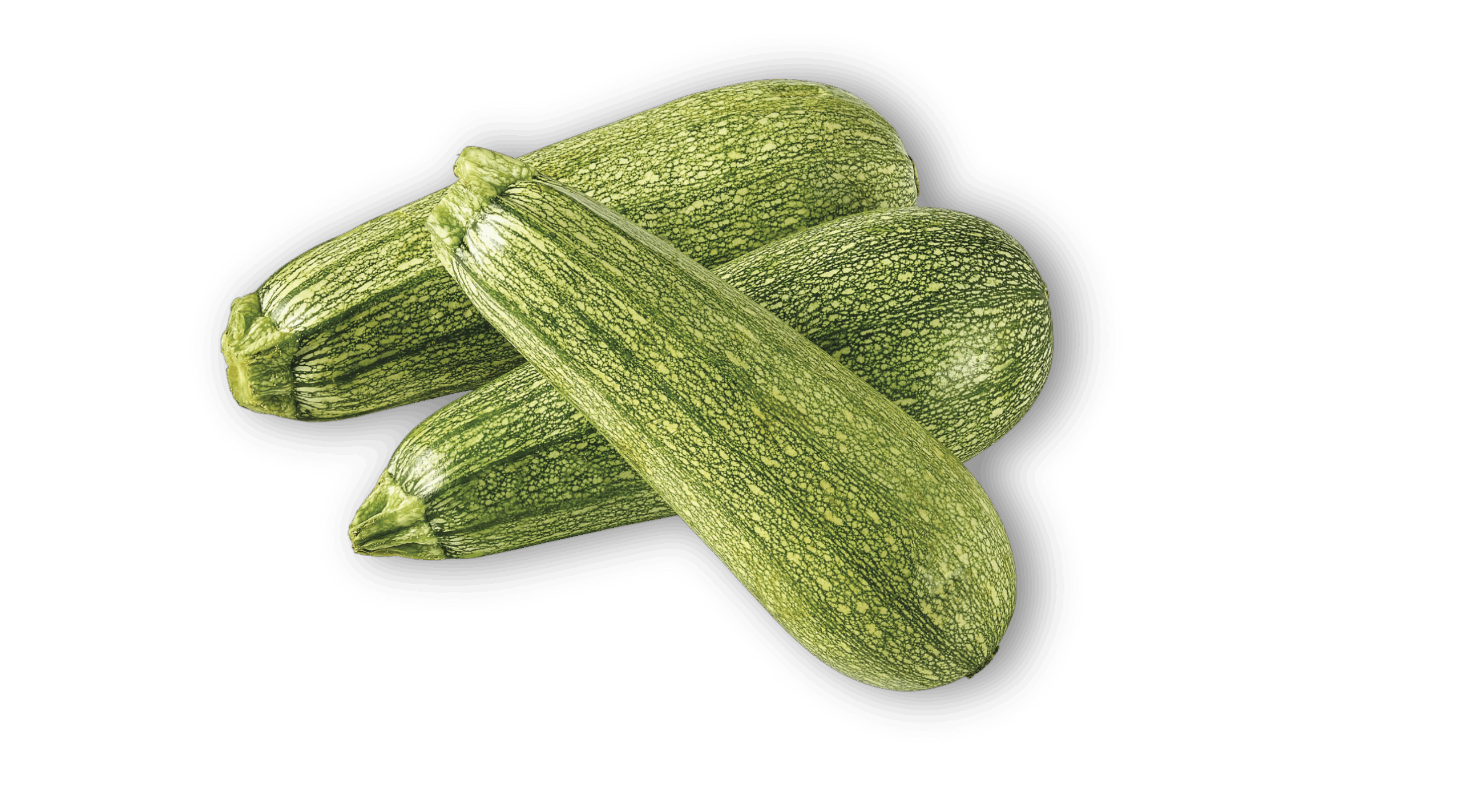 Mexican Squash